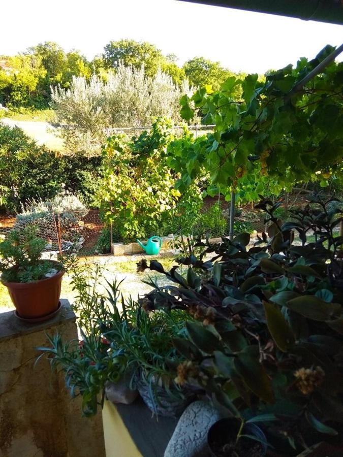 Apartman Garma Rovinj Exteriör bild